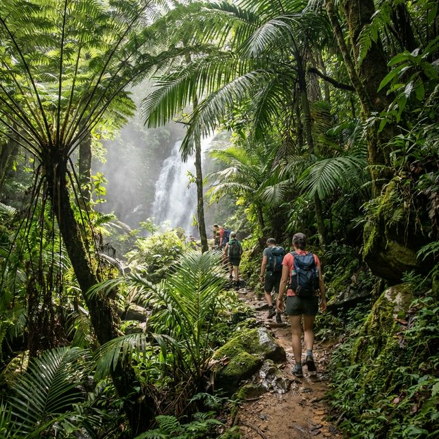 Hikers on a lush jungle trail leading to a waterfall on Koh Phangan